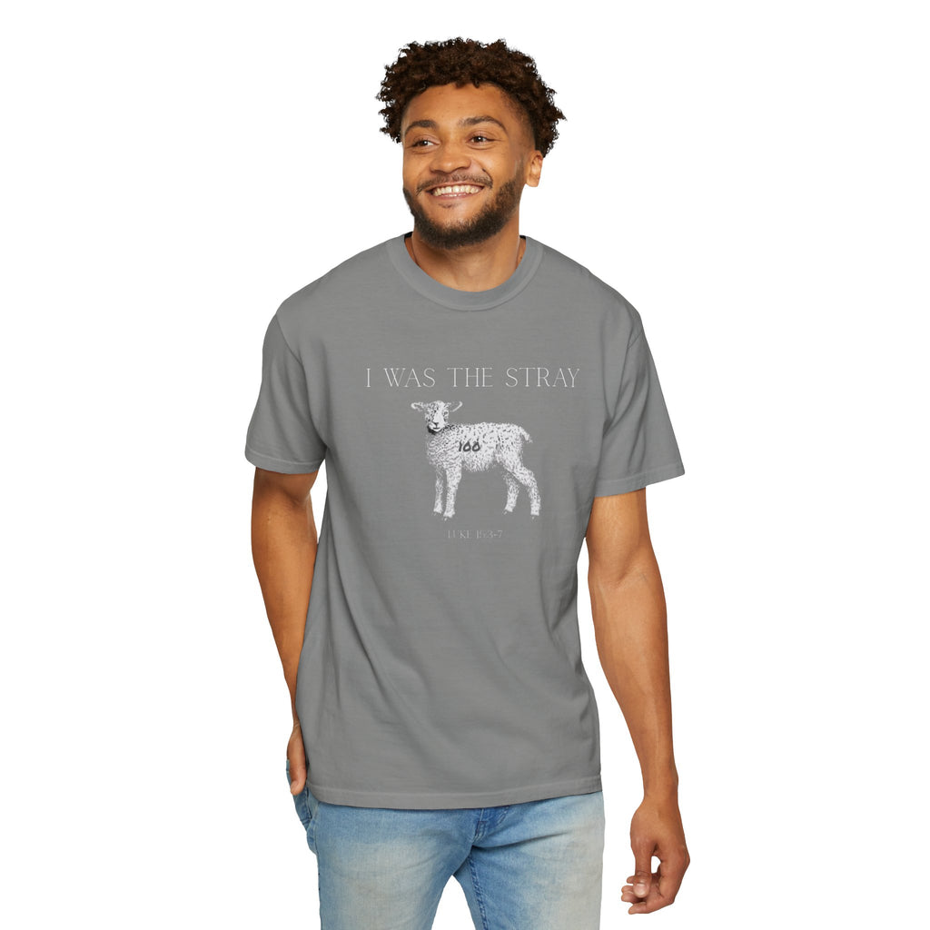 The Stray (Luke 15:3-7) Christian T-shirt