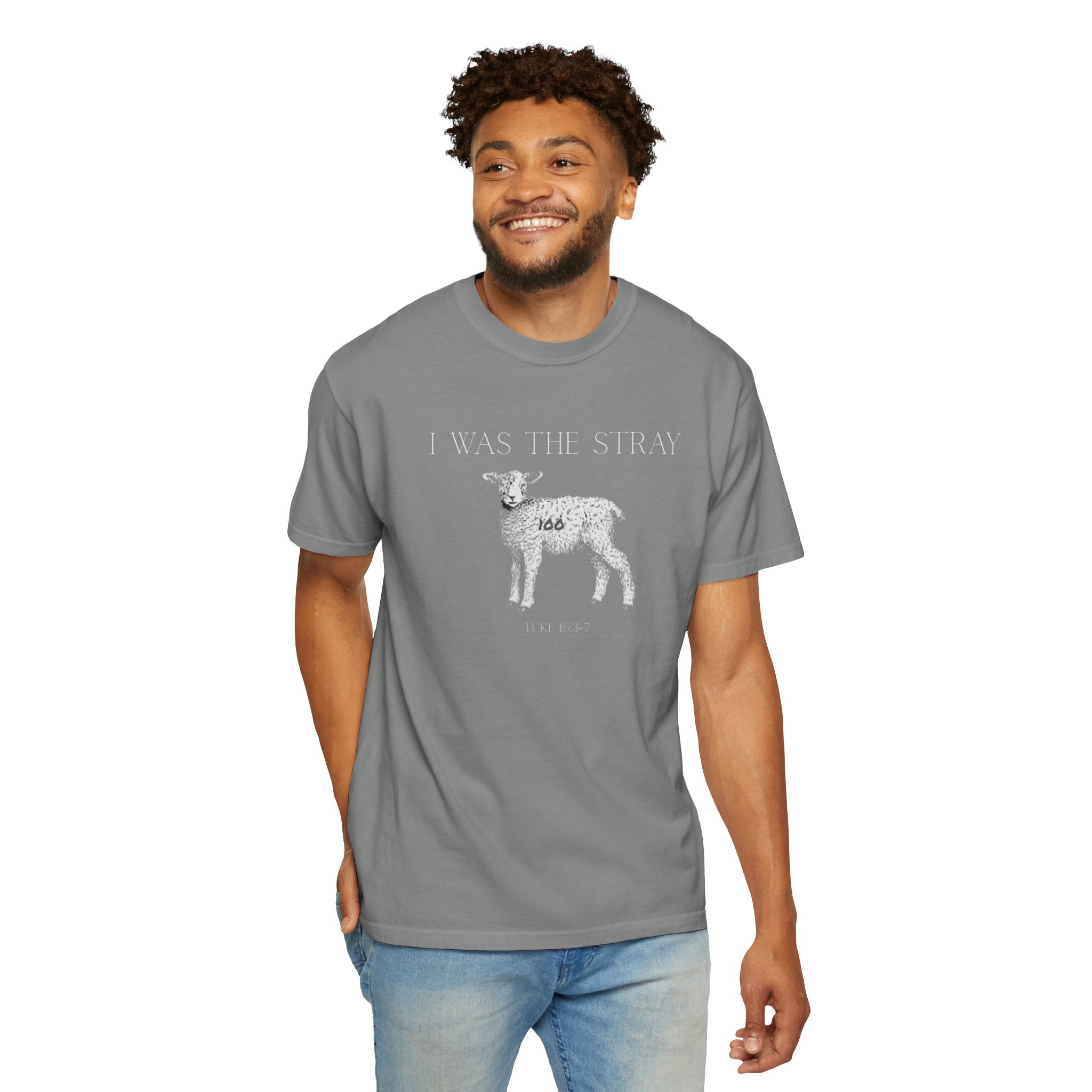 The Stray (Luke 15:3-7) Christian T-shirt