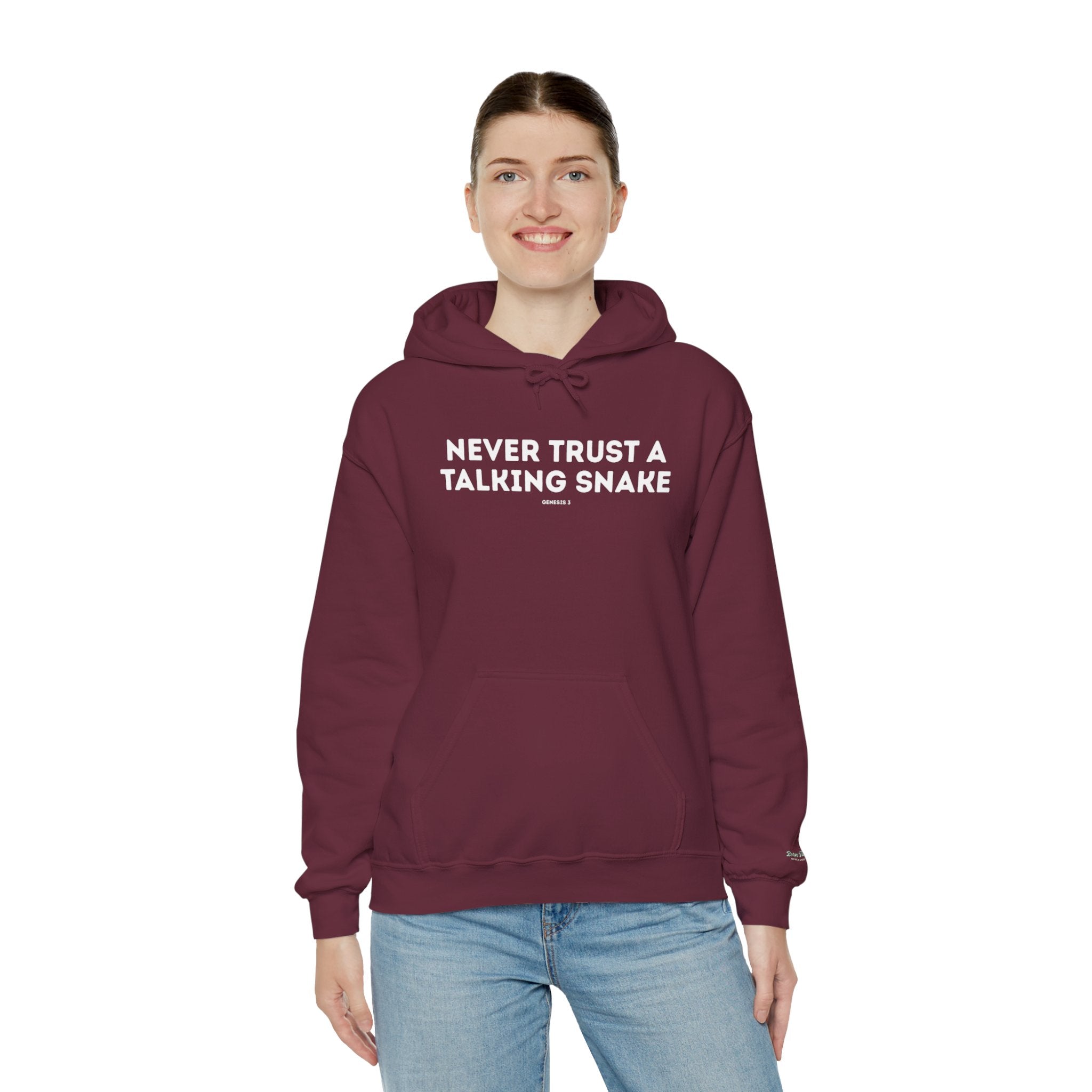 Never Trust a Talking Snake (Genesis 3) Christian Hoodie