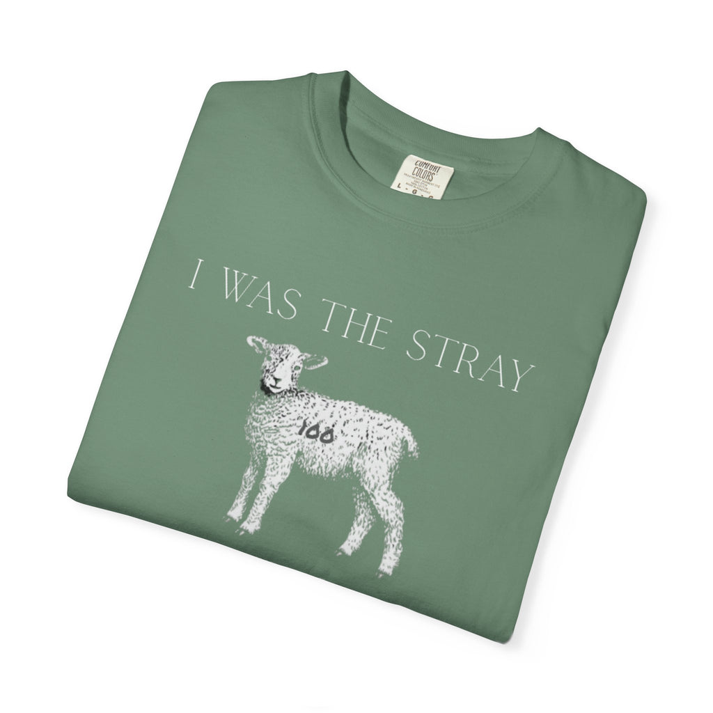 The Stray (Luke 15:3-7) Christian T-shirt