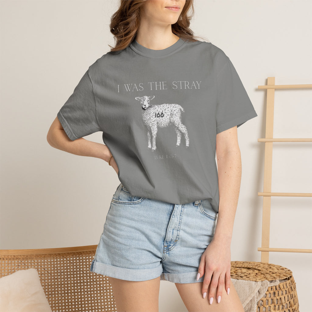 The Stray (Luke 15:3-7) Christian T-shirt