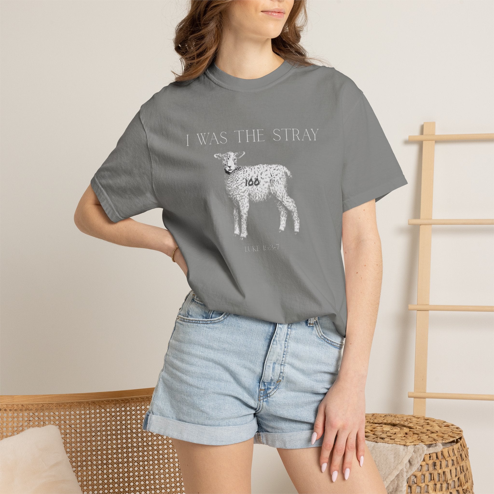The Stray (Luke 15:3-7) Christian T-shirt