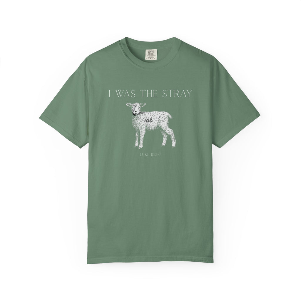 The Stray (Luke 15:3-7) Christian T-shirt