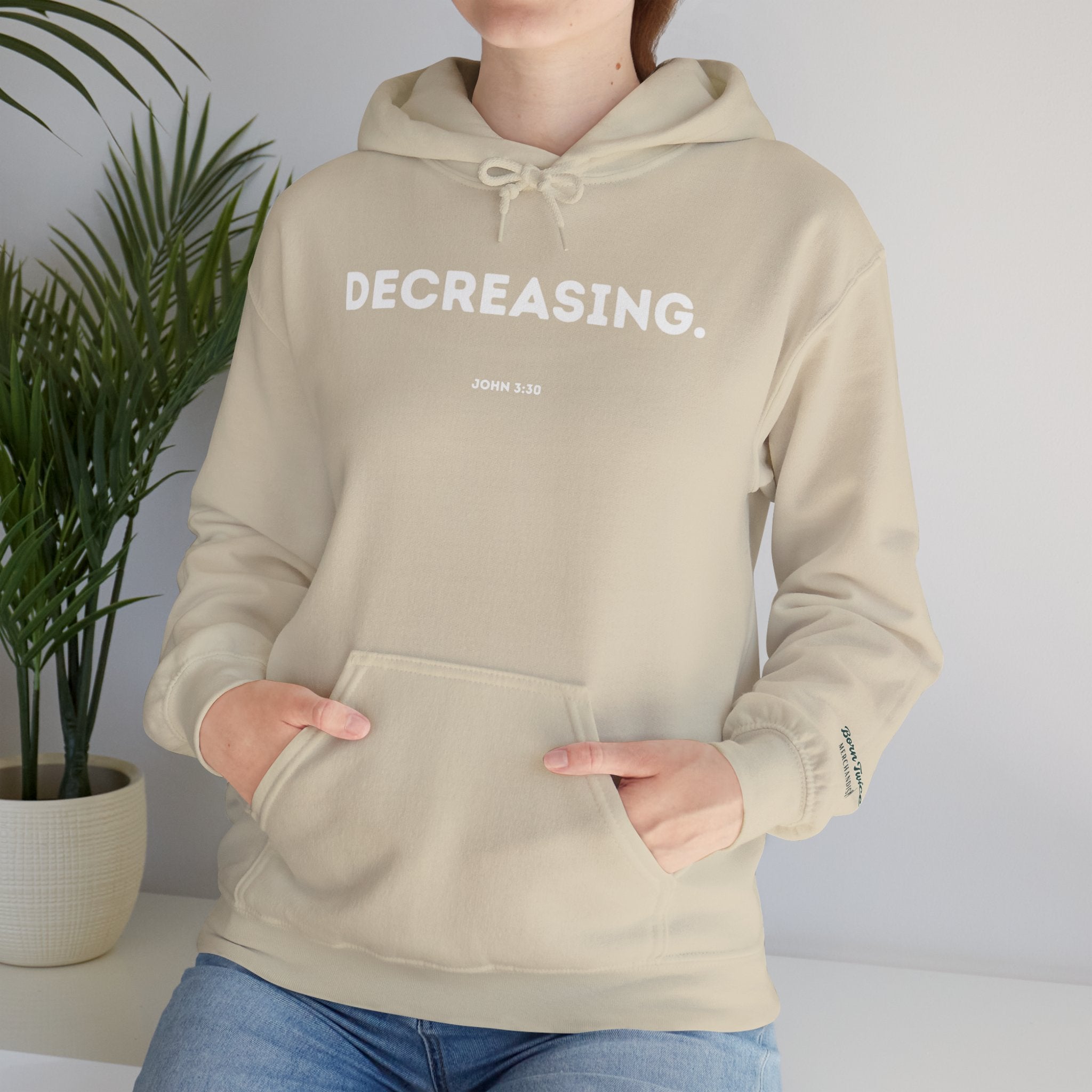 Decreasing (John 3:30) Hoodie