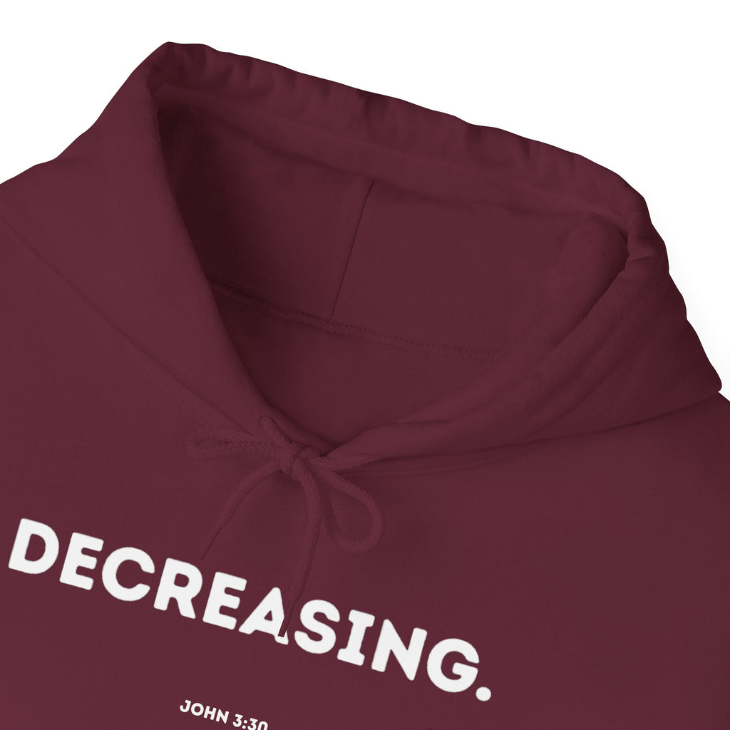 Decreasing (John 3:30) Hoodie