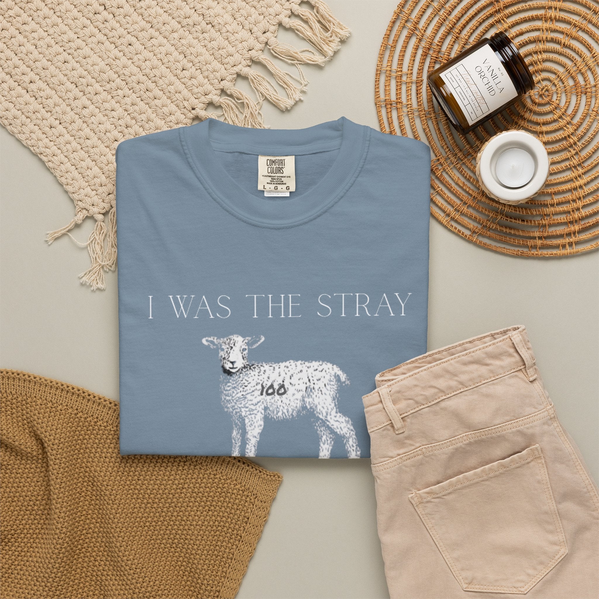 The Stray (Luke 15:3-7) Christian T-shirt