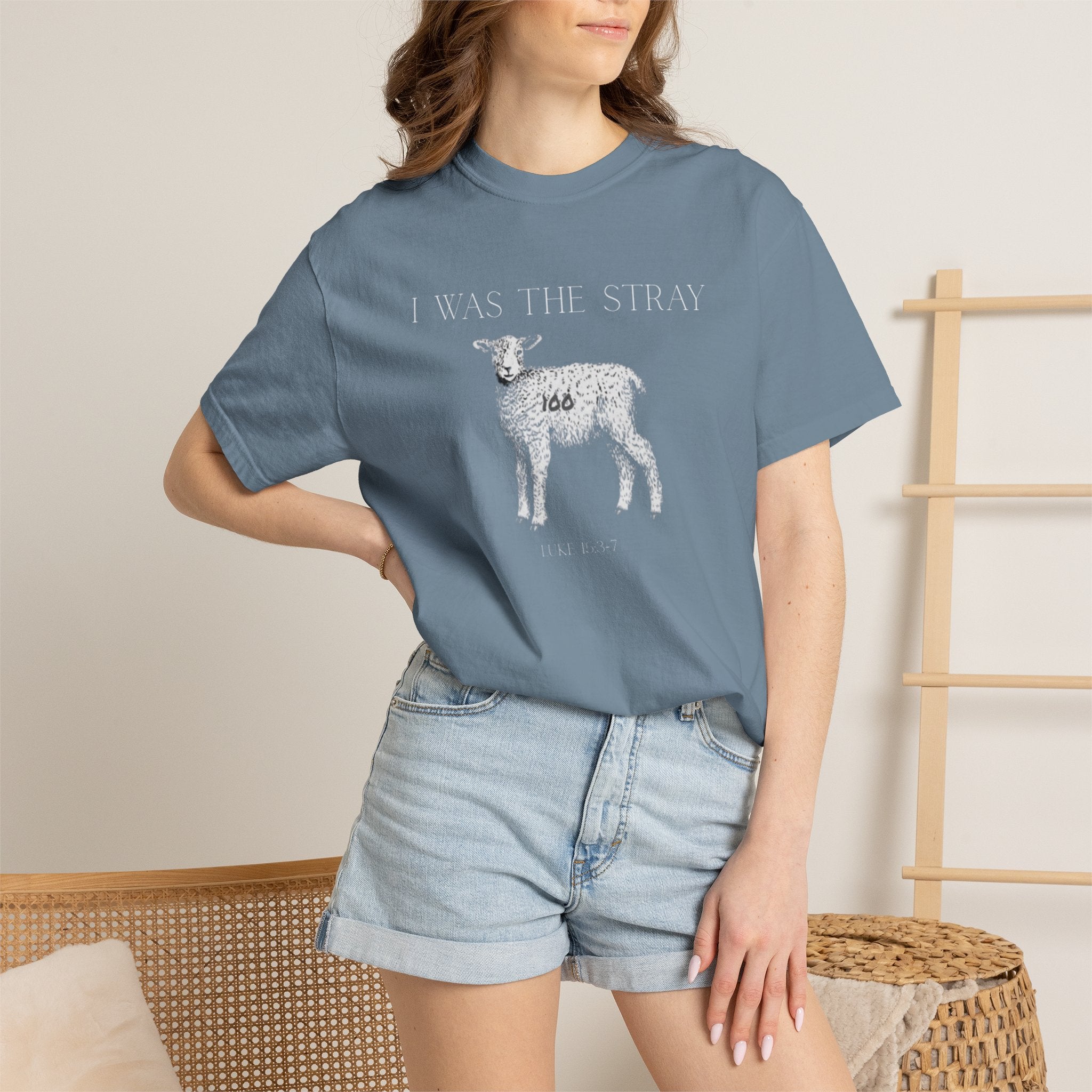 The Stray (Luke 15:3-7) Christian T-shirt