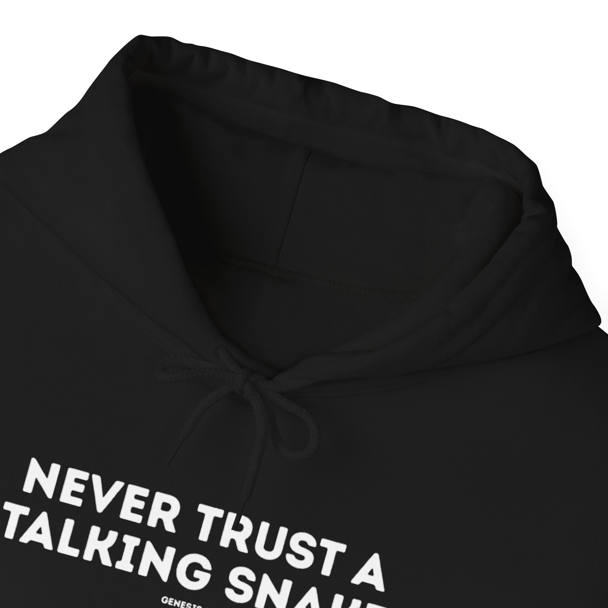 Never Trust a Talking Snake (Genesis 3) Christian Hoodie