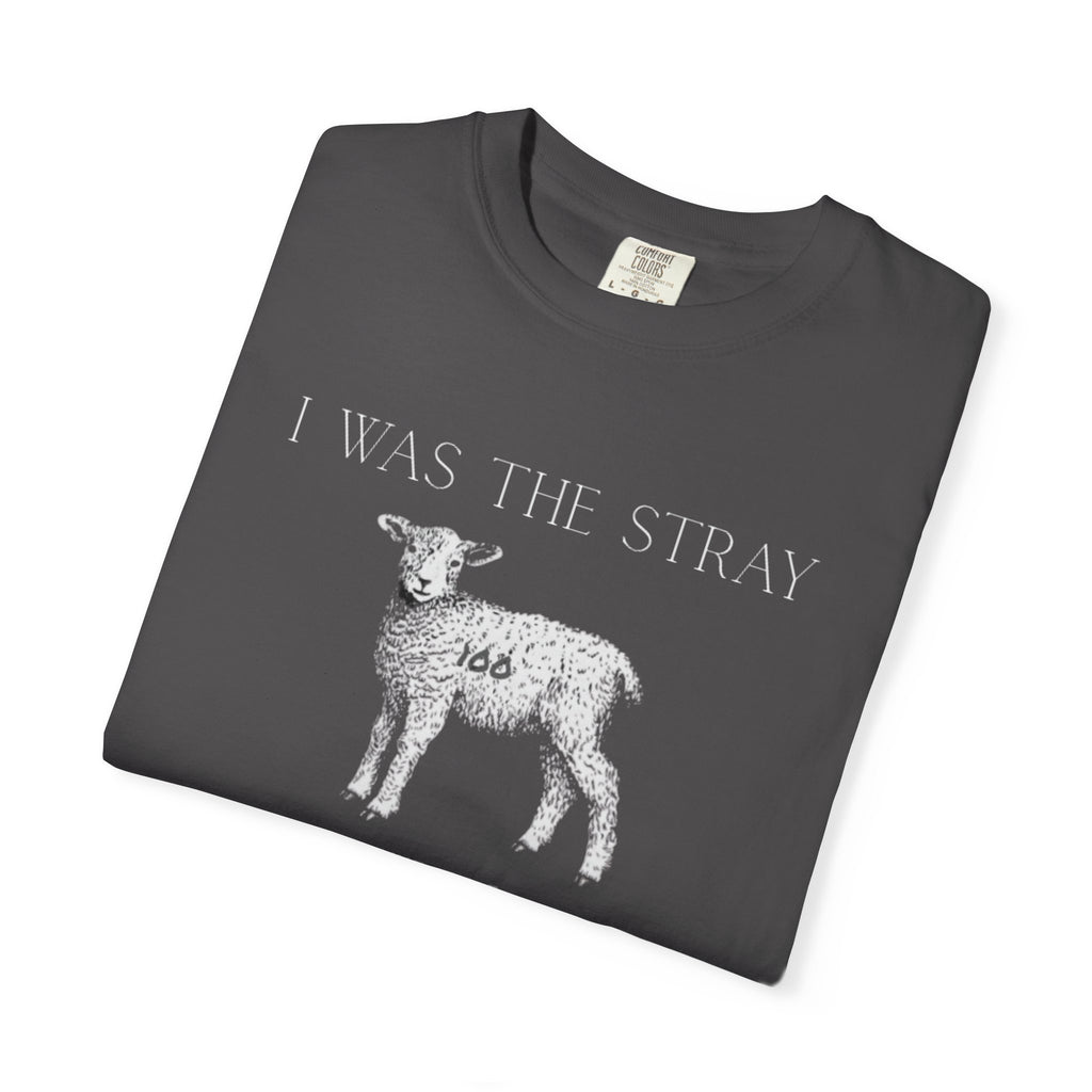 The Stray (Luke 15:3-7) Christian T-shirt