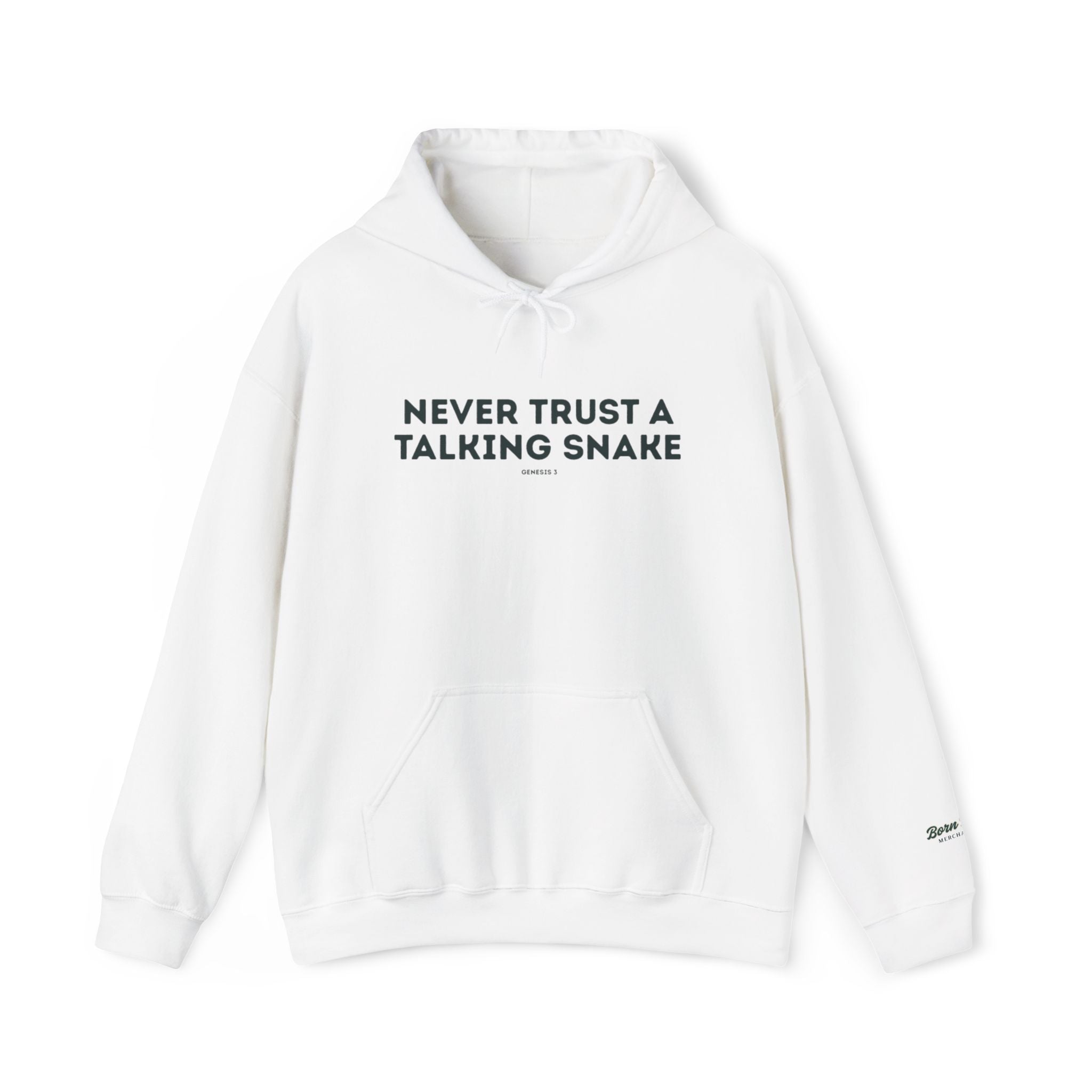 Never Trust a Talking Snake (Genesis 3) Christian Hoodie