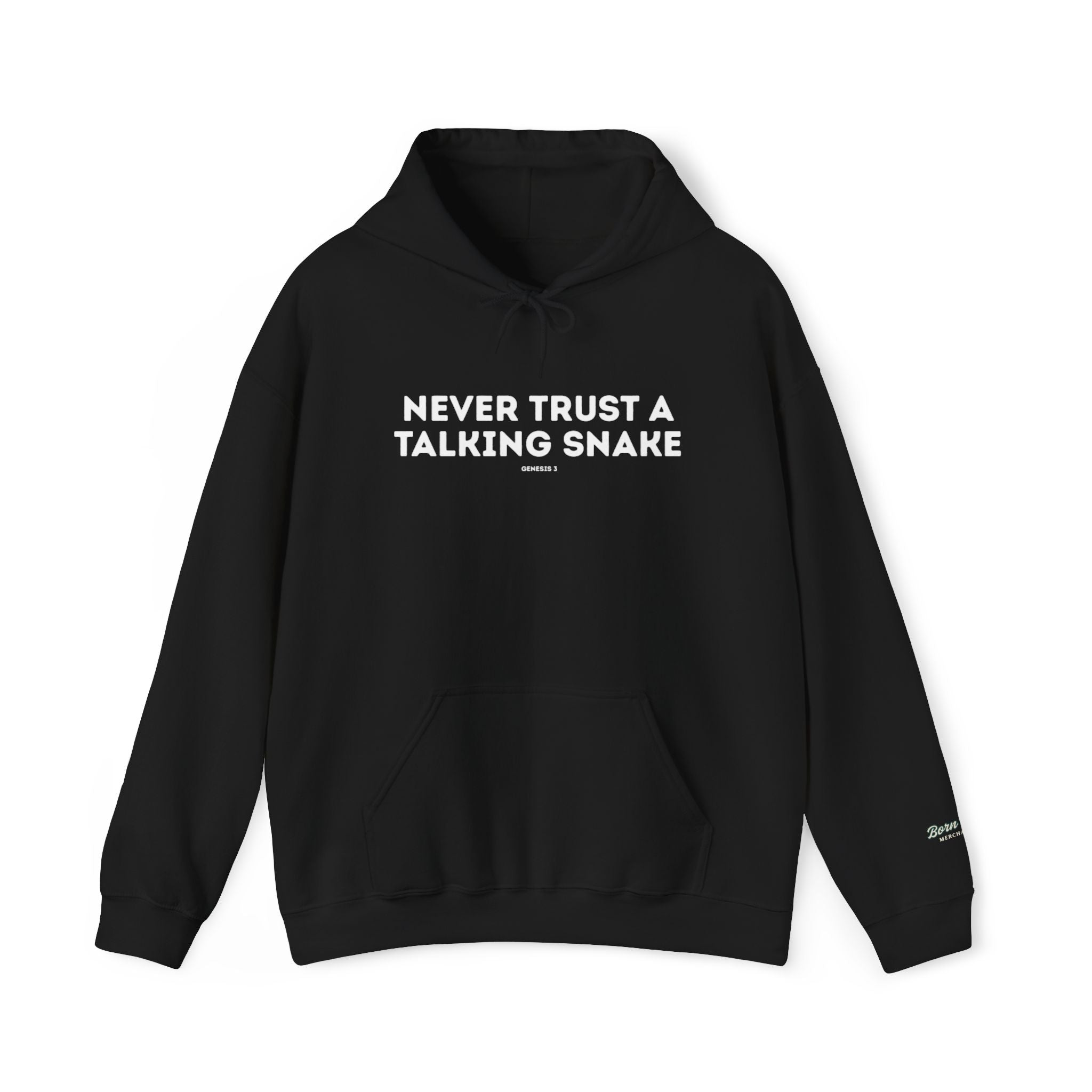 Never Trust a Talking Snake (Genesis 3) Christian Hoodie