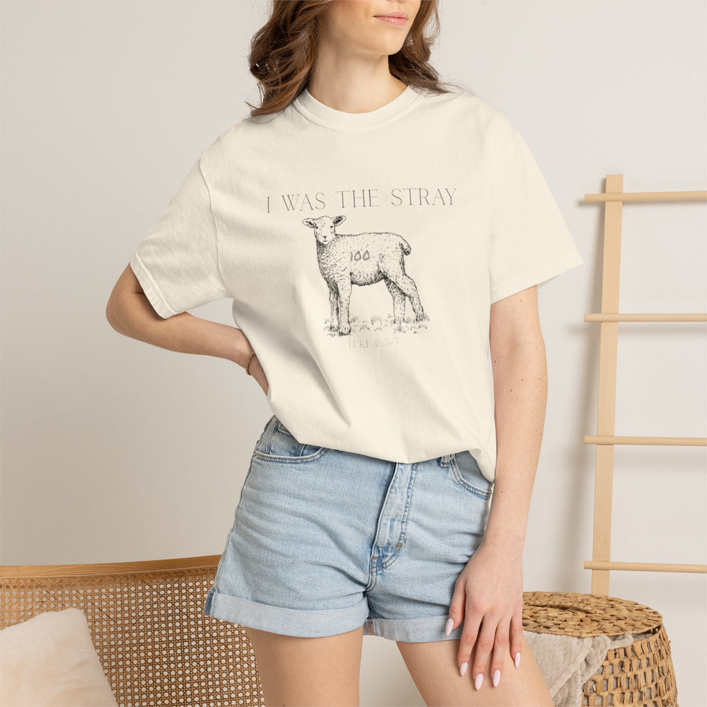 The Stray (Luke 15:3-7) Christian T-shirt