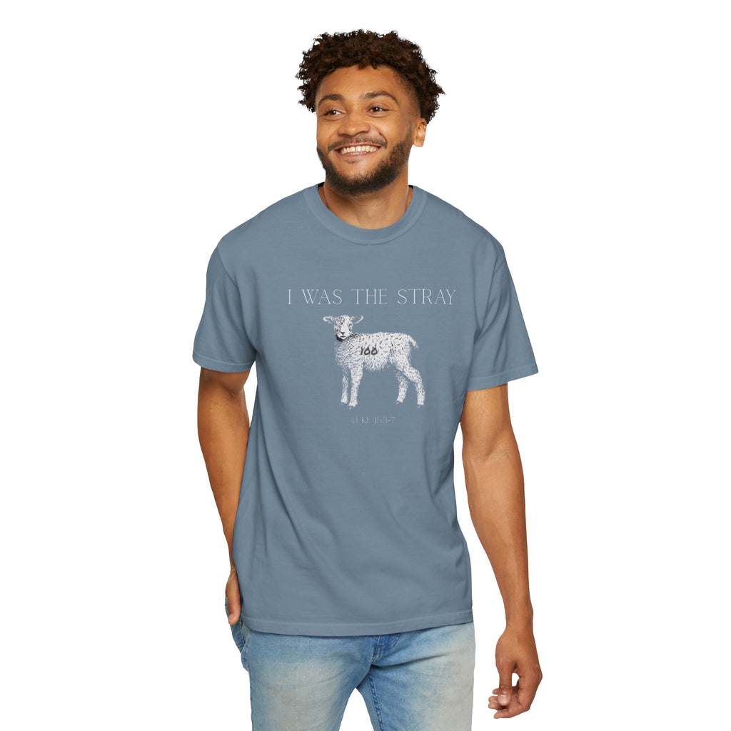The Stray (Luke 15:3-7) Christian T-shirt