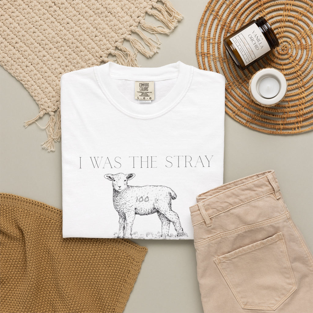 The Stray (Luke 15:3-7) Christian T-shirt
