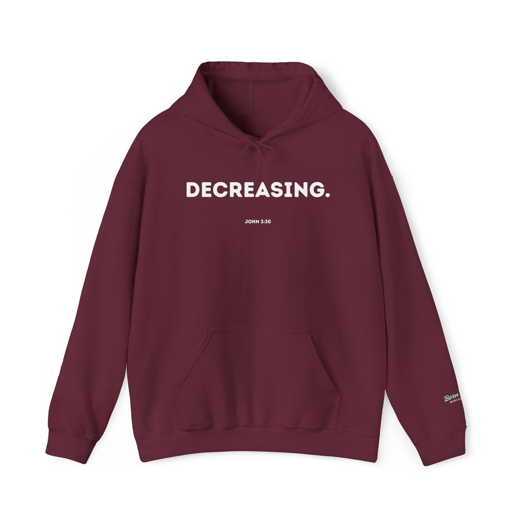 Decreasing (John 3:30) Hoodie