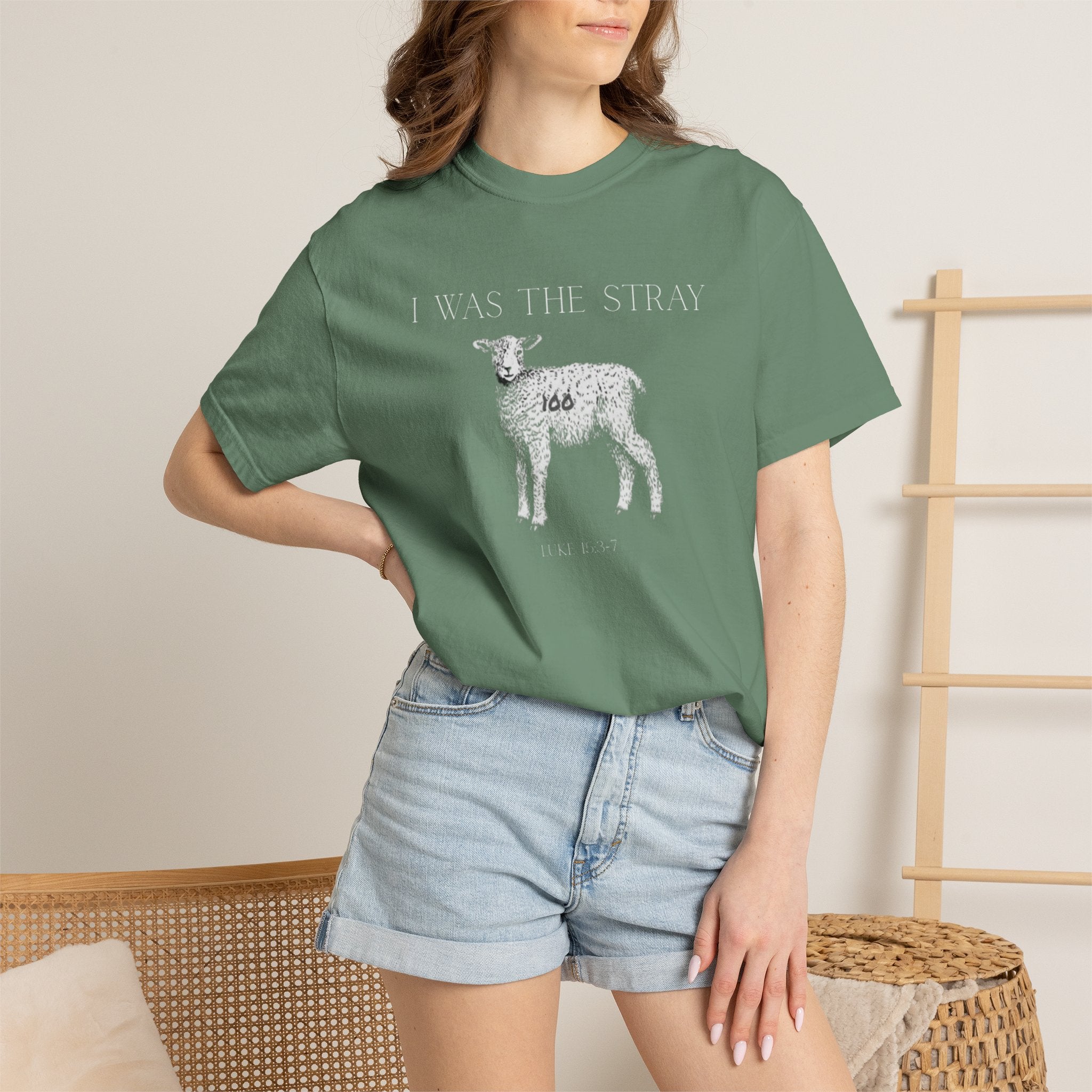 The Stray (Luke 15:3-7) Christian T-shirt