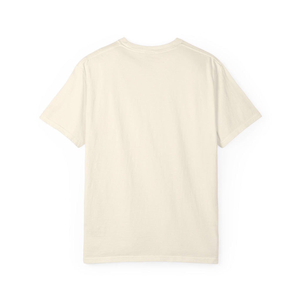 The Stray (Luke 15:3-7) Christian T-shirt