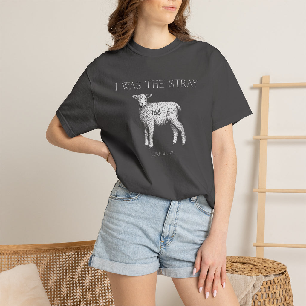 The Stray (Luke 15:3-7) Christian T-shirt