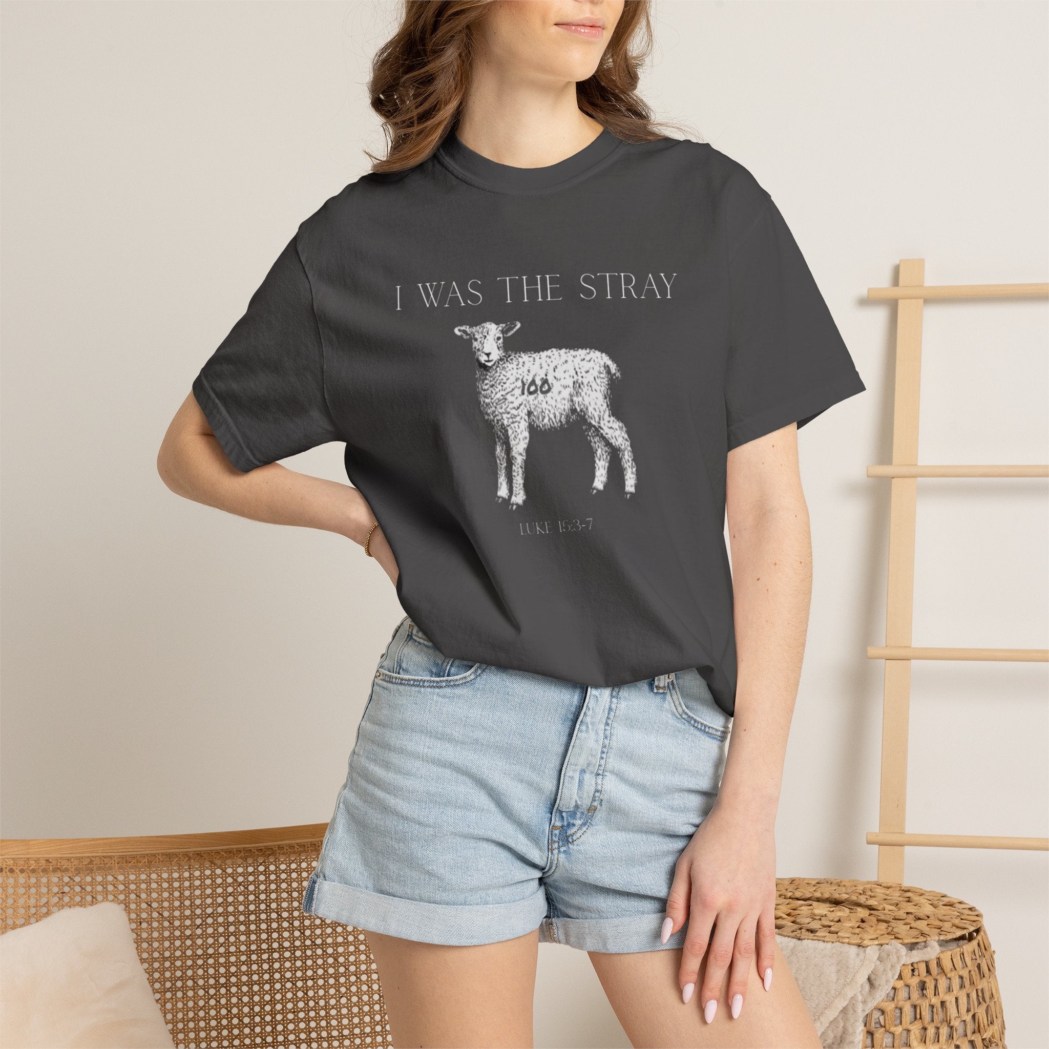 The Stray (Luke 15:3-7) Christian T-shirt