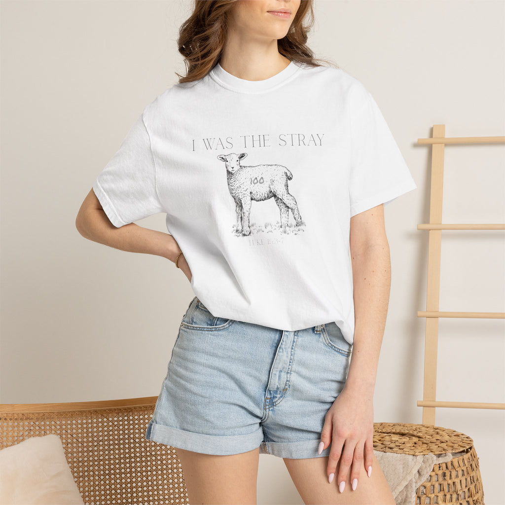 The Stray (Luke 15:3-7) Christian T-shirt