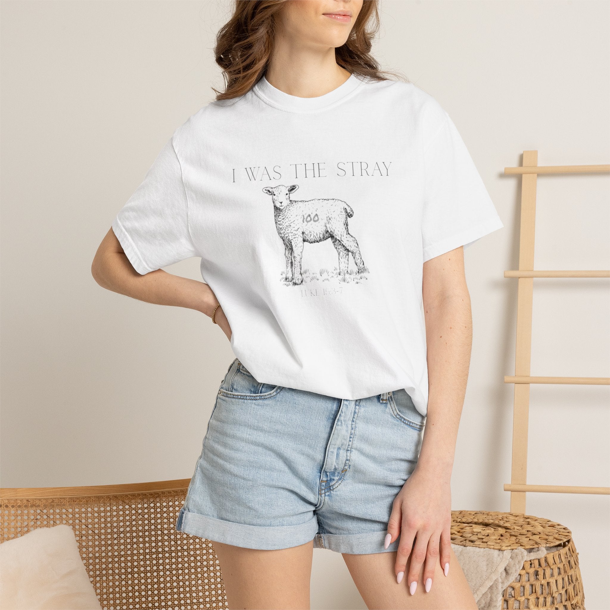 The Stray (Luke 15:3-7) Christian T-shirt