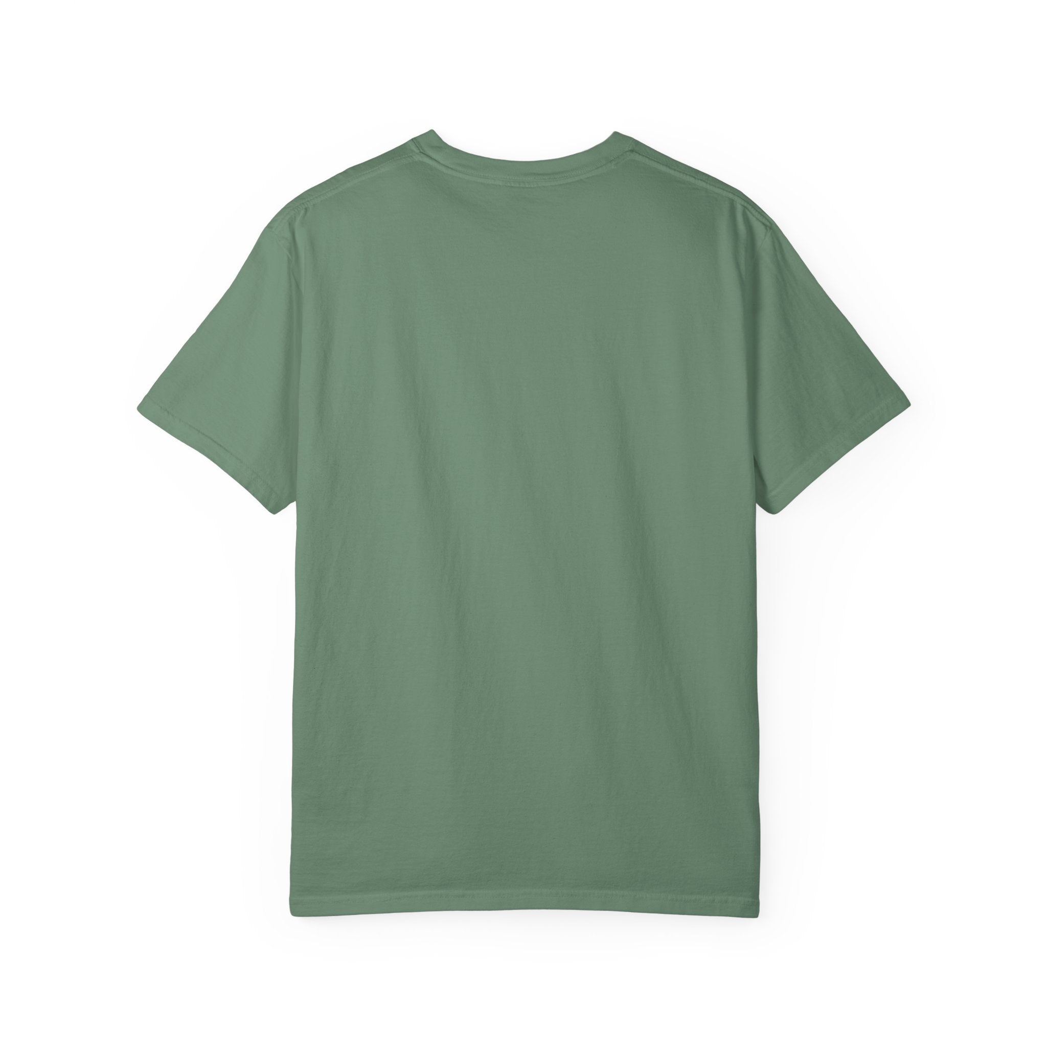 The Stray (Luke 15:3-7) Christian T-shirt