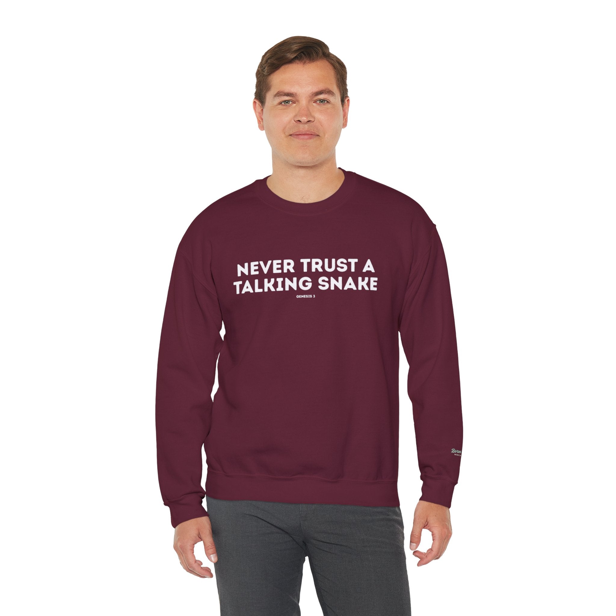 Never Trust a Talking Snake (Genesis 3) Christian Sweatshirt