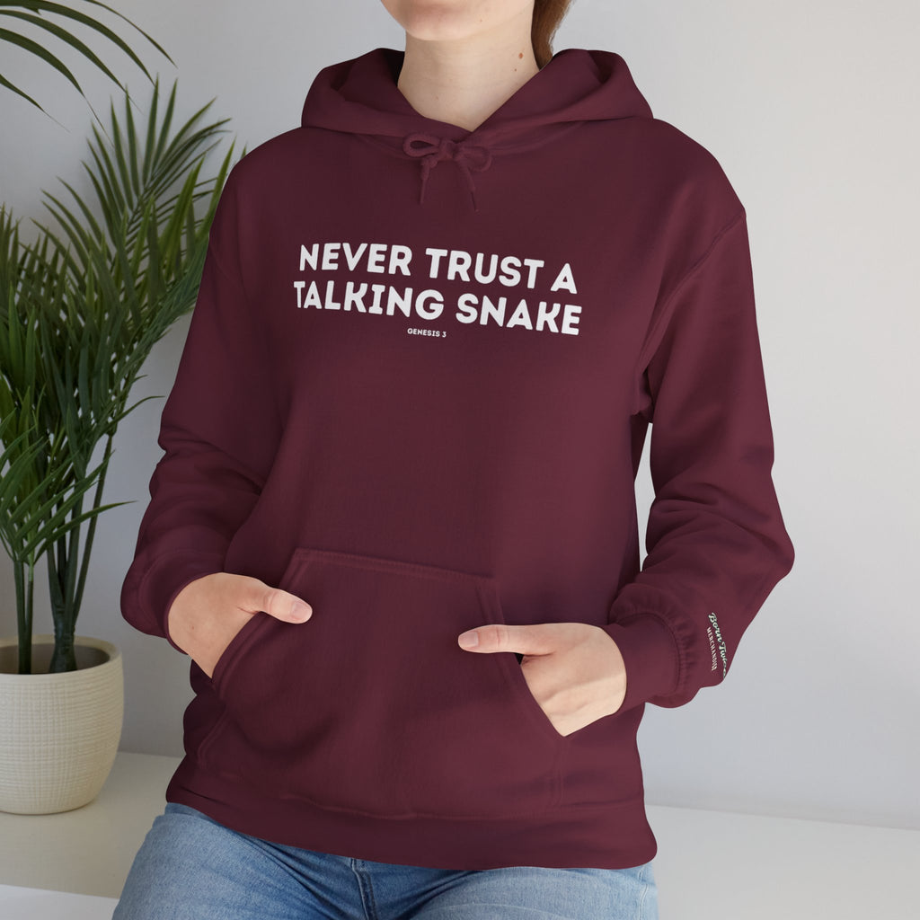 Never Trust a Talking Snake (Genesis 3) Christian Hoodie