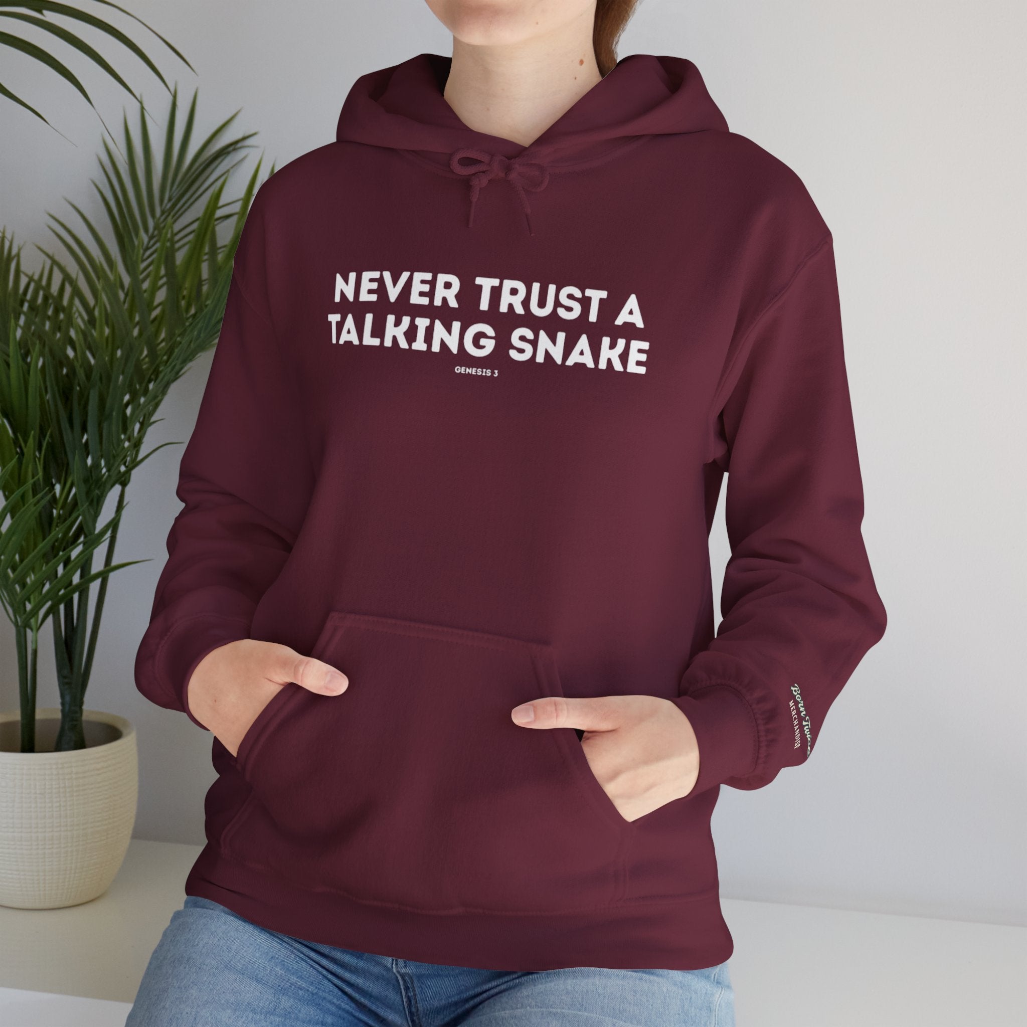 Never Trust a Talking Snake (Genesis 3) Christian Hoodie