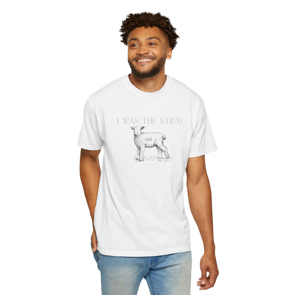 The Stray (Luke 15:3-7) Christian T-shirt