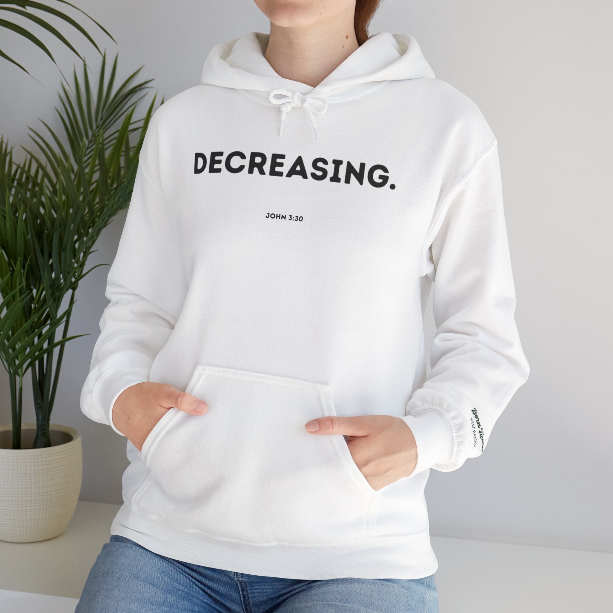 Decreasing (John 3:30) Hoodie