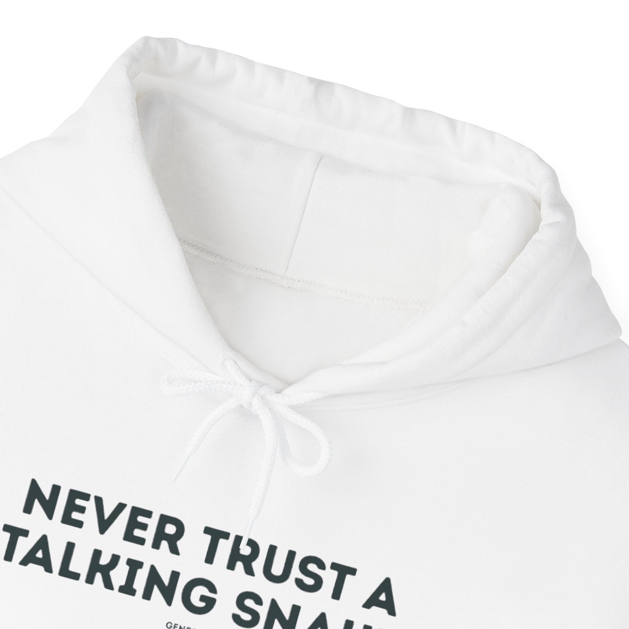 Never Trust a Talking Snake (Genesis 3) Christian Hoodie