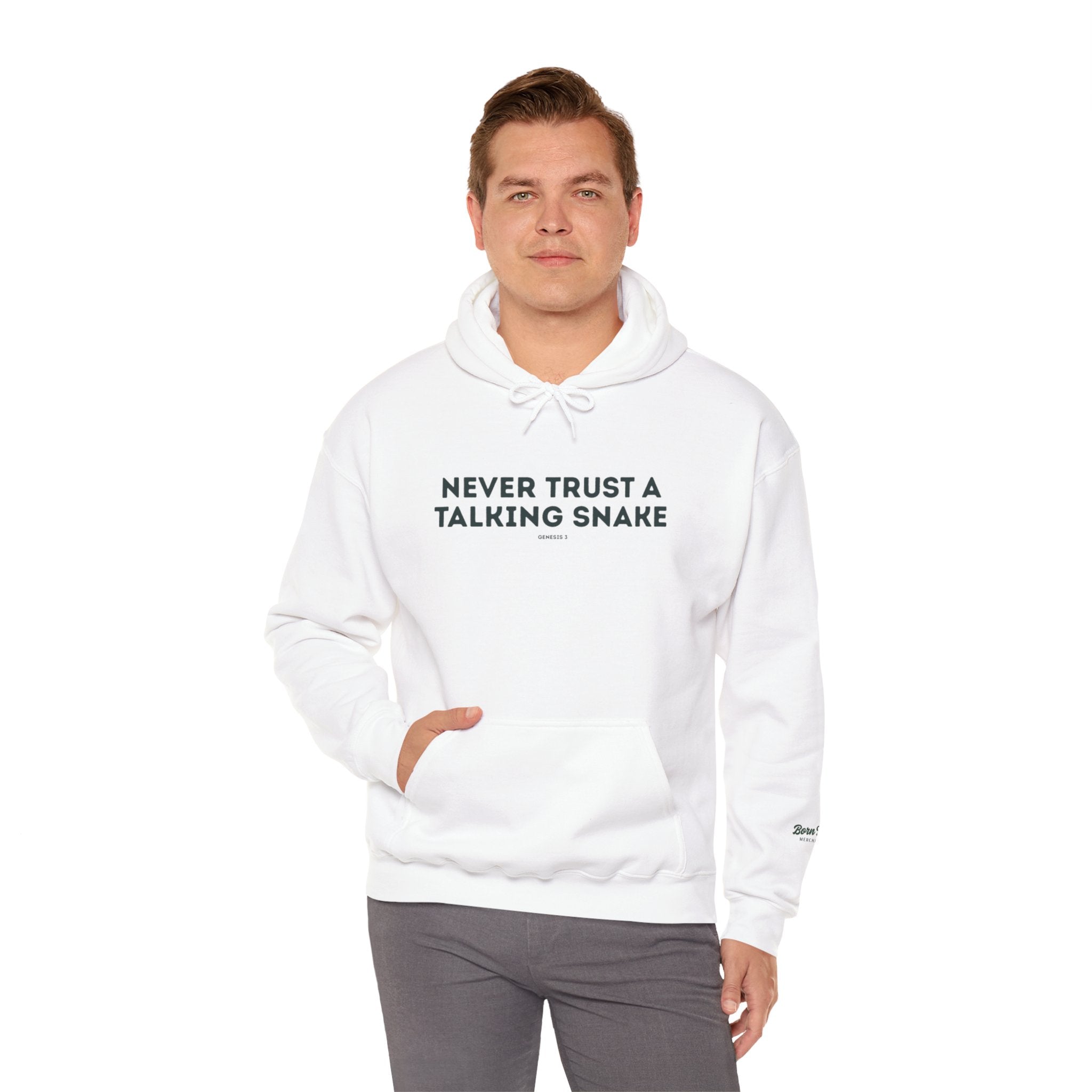 Never Trust a Talking Snake (Genesis 3) Christian Hoodie