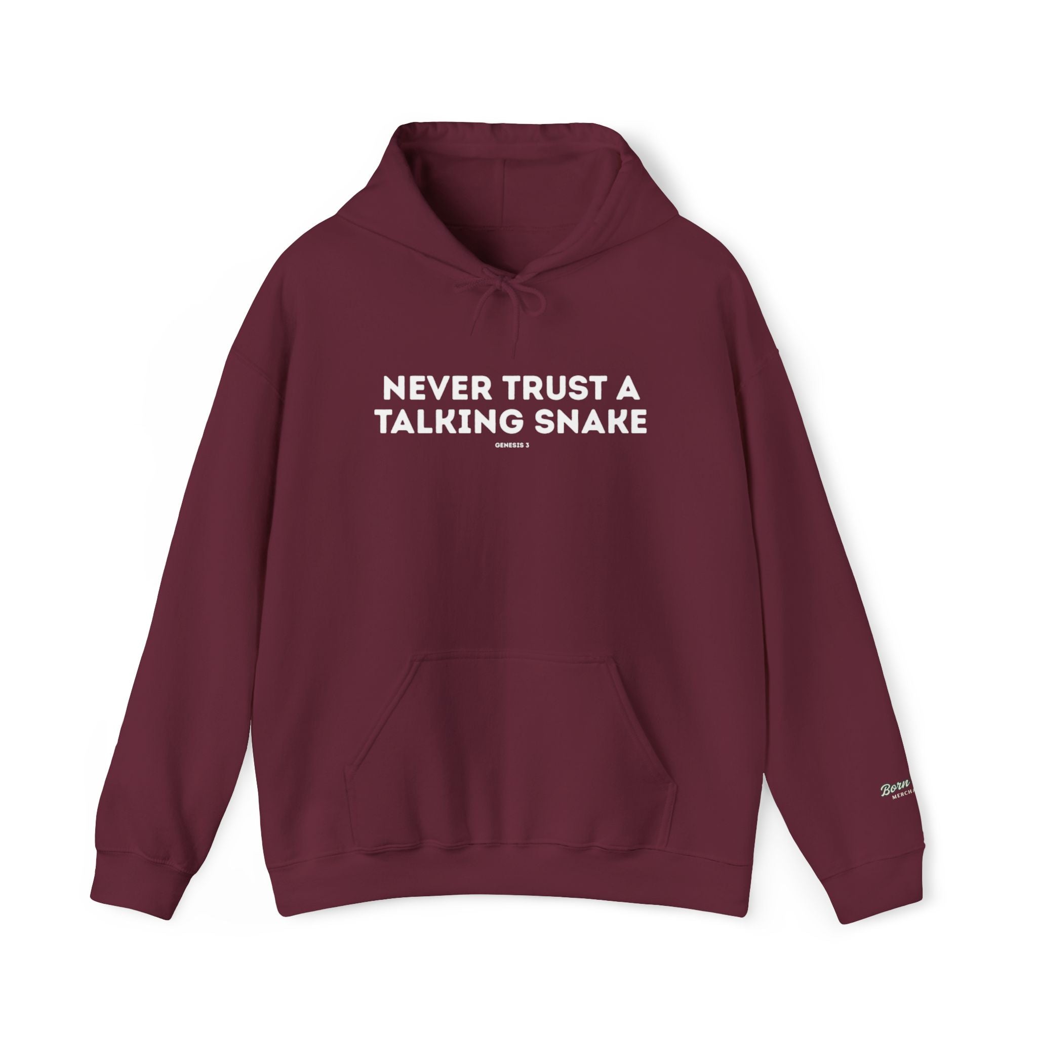 Never Trust a Talking Snake (Genesis 3) Christian Hoodie