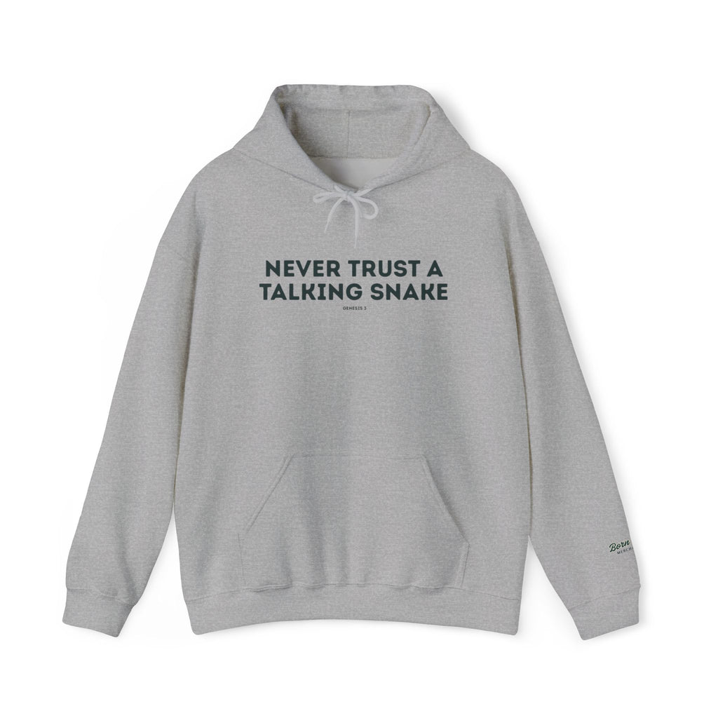 Never Trust a Talking Snake (Genesis 3) Christian Hoodie