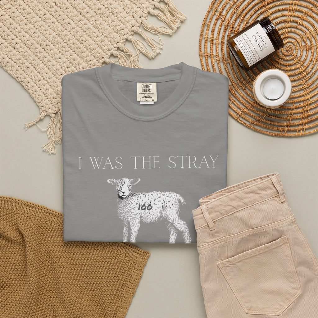 The Stray (Luke 15:3-7) Christian T-shirt