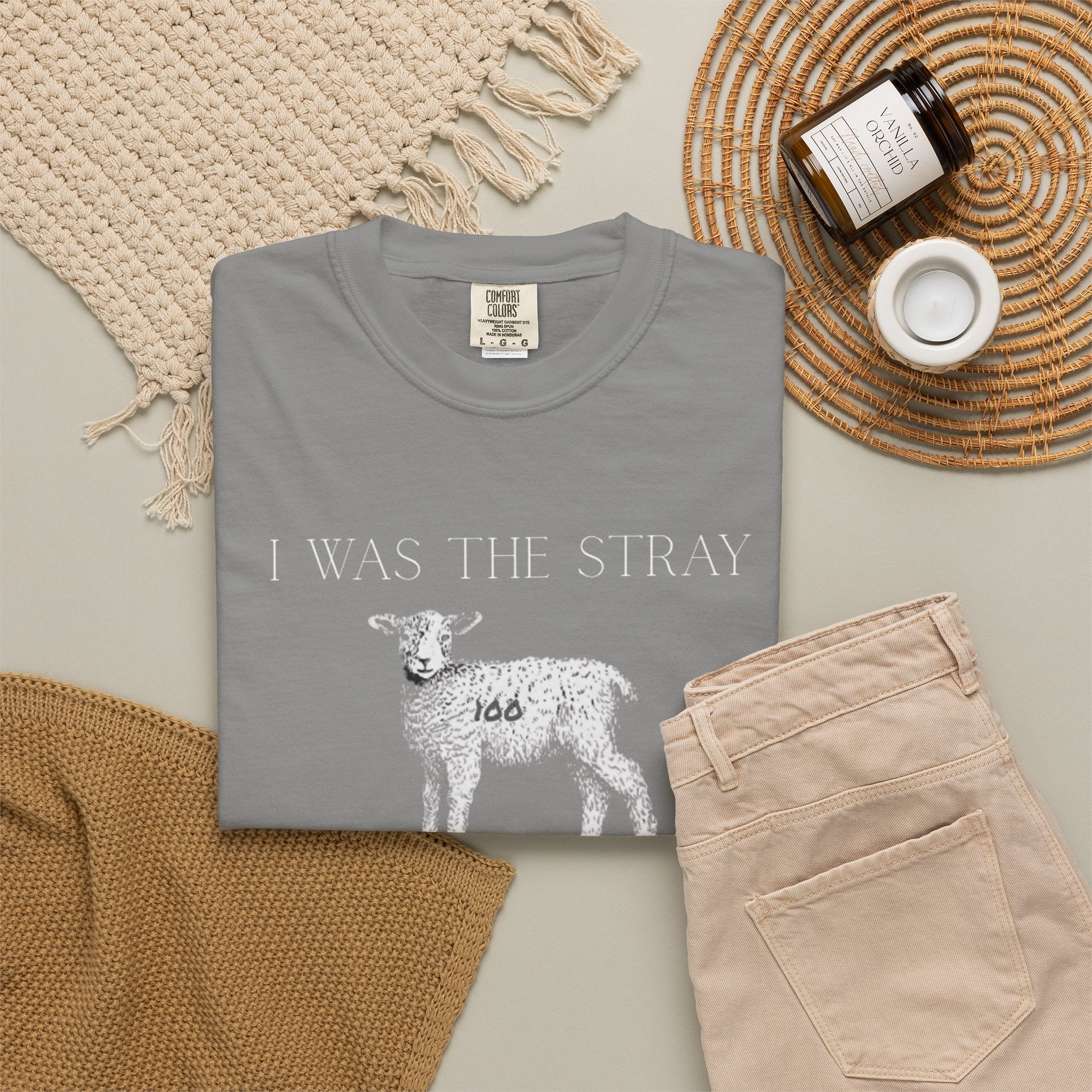 The Stray (Luke 15:3-7) Christian T-shirt