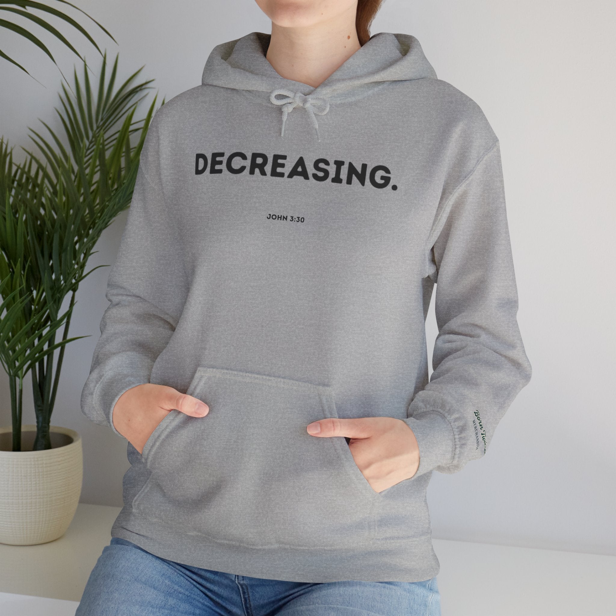 Decreasing (John 3:30) Hoodie