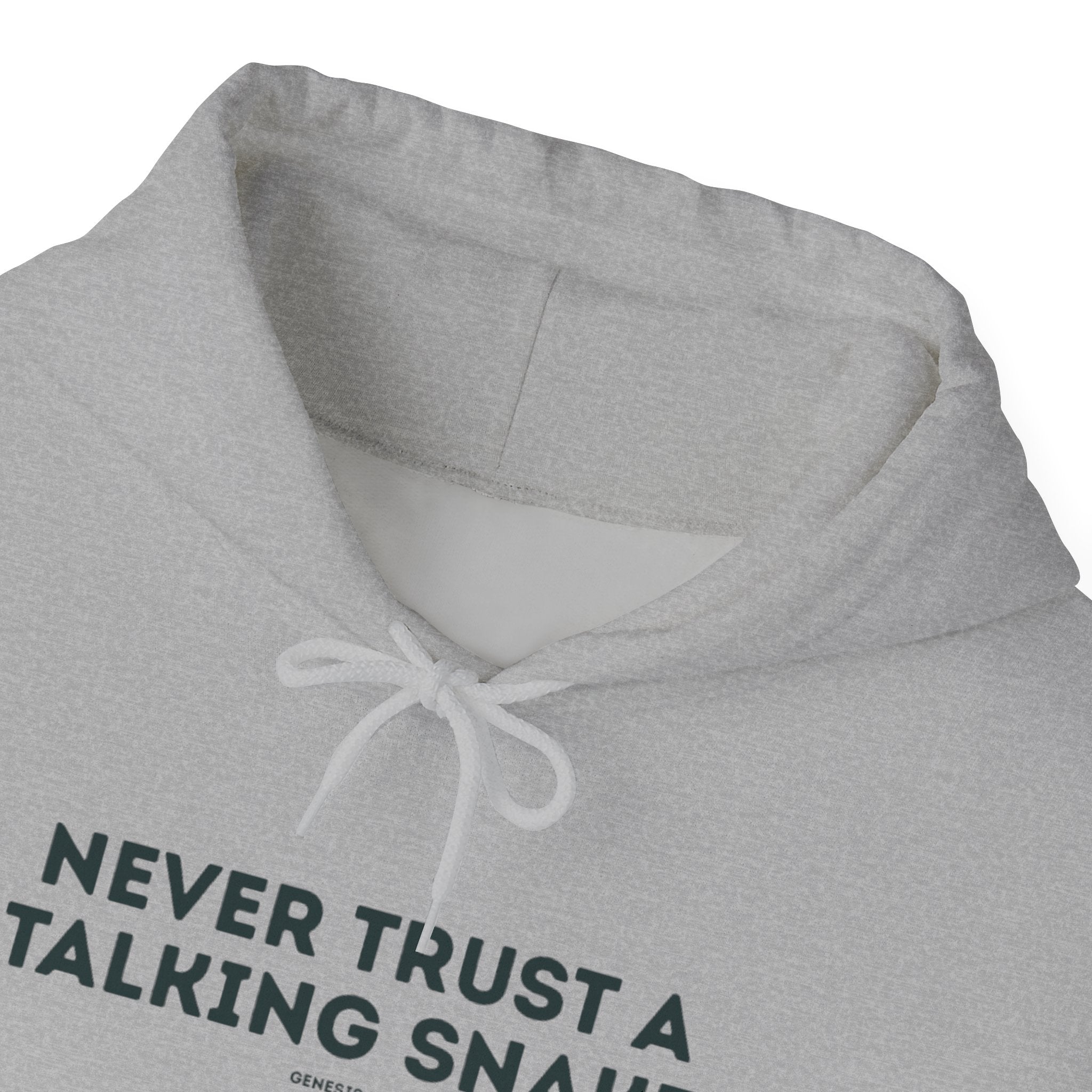 Never Trust a Talking Snake (Genesis 3) Christian Hoodie