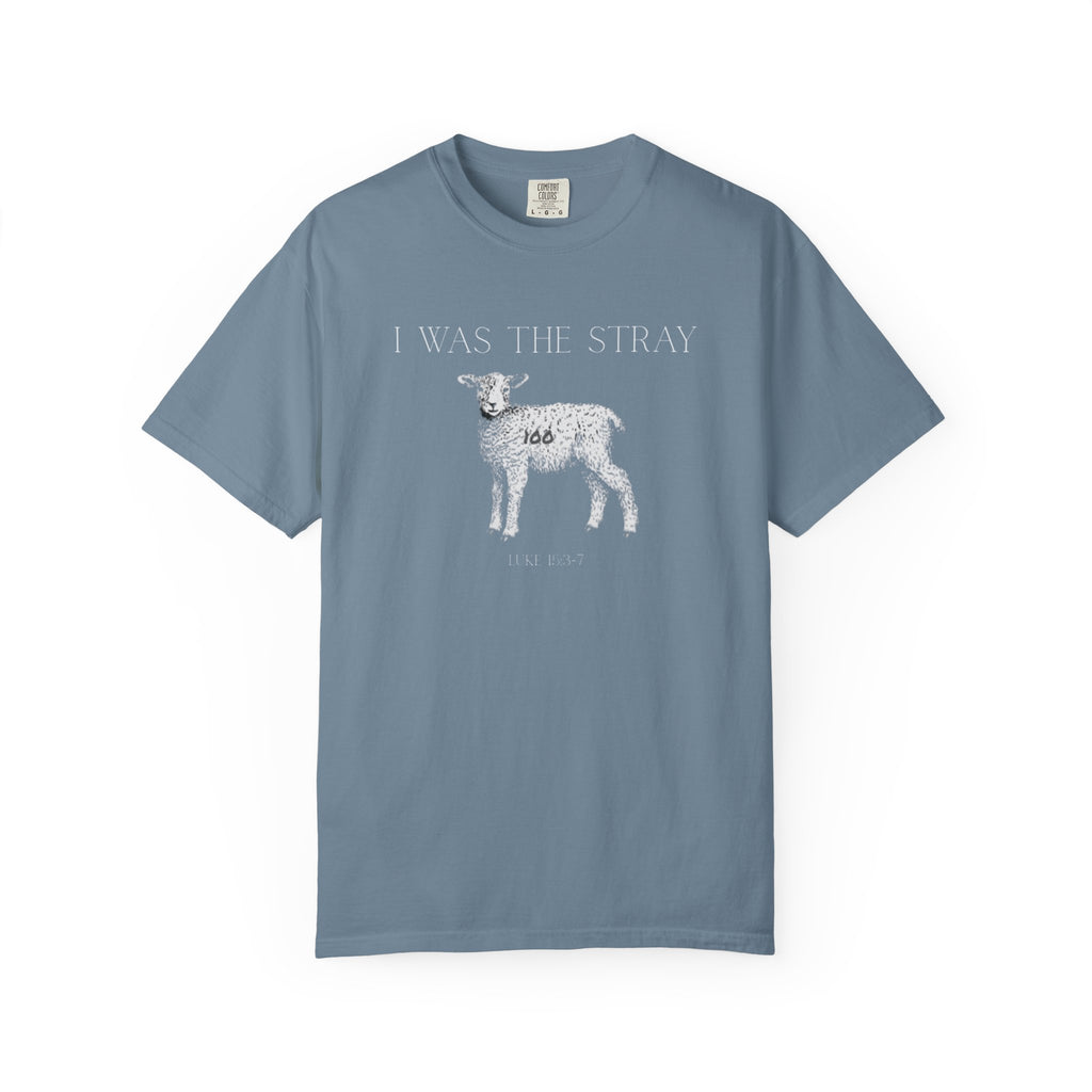 The Stray (Luke 15:3-7) Christian T-shirt