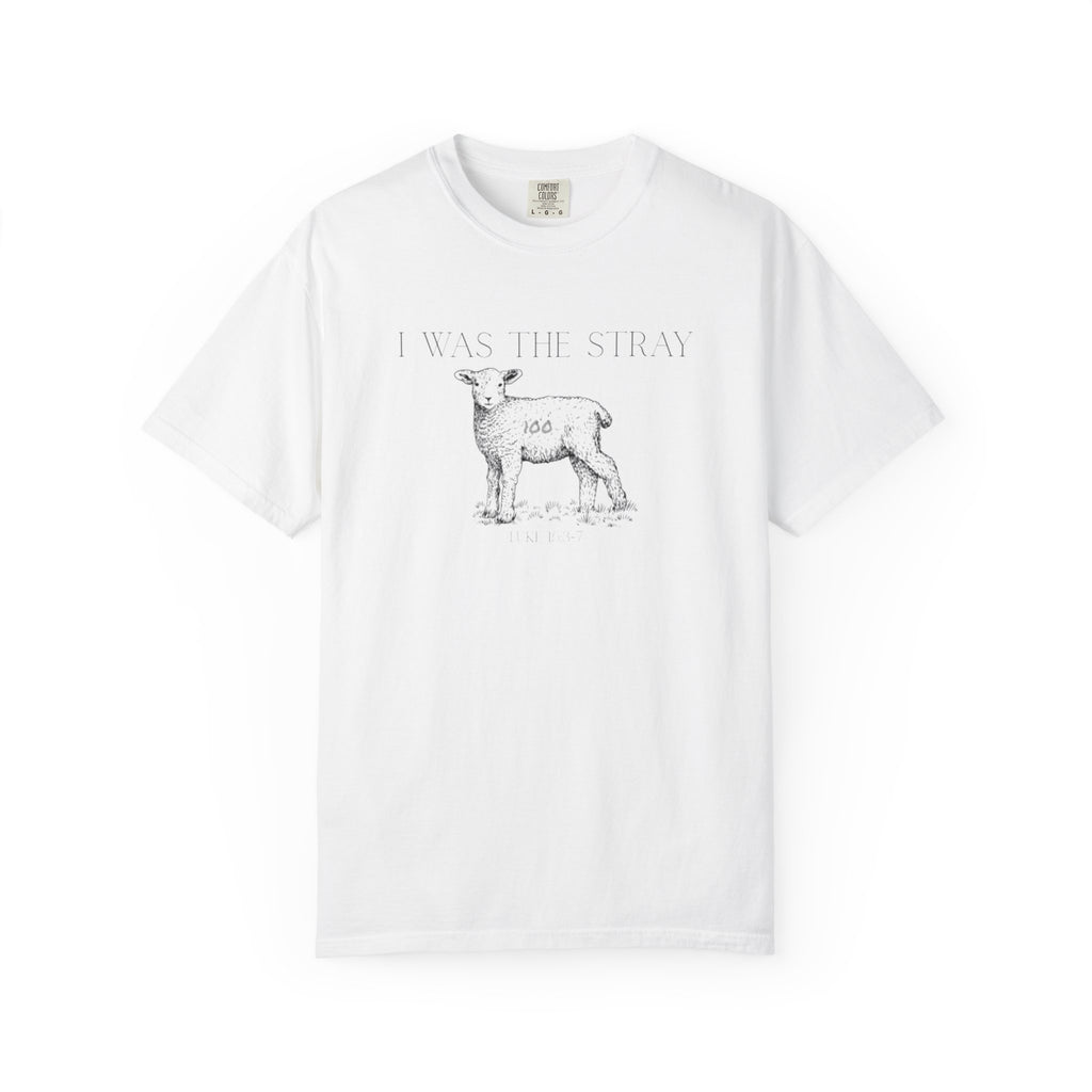 The Stray (Luke 15:3-7) Christian T-shirt