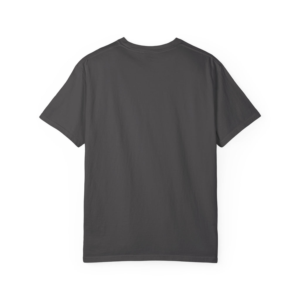 The Stray (Luke 15:3-7) Christian T-shirt